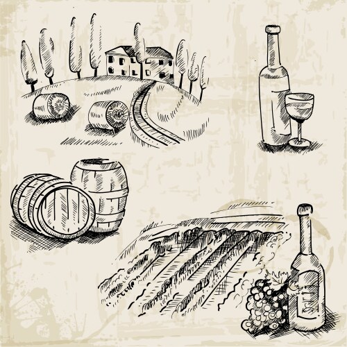 Wine winemaking and vineyard vector image