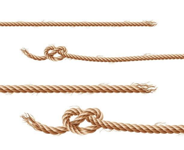 Set ropes jute or hemp twisted cords vector image