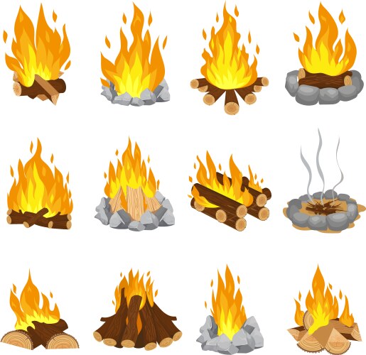 Wood campfire outdoor bonfire fire burning vector image