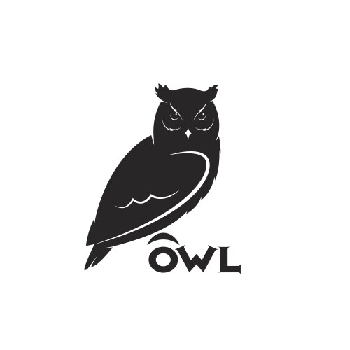 an owl design on white background bird animal vector image