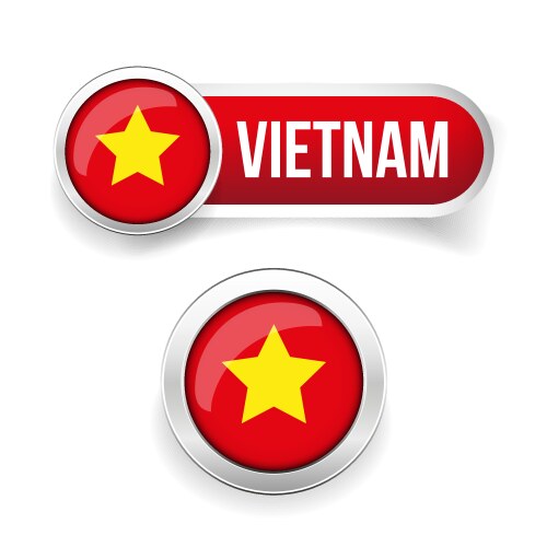 Vietnam flag button vector image