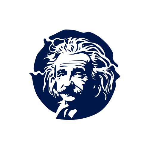 Albert einstein design vector image