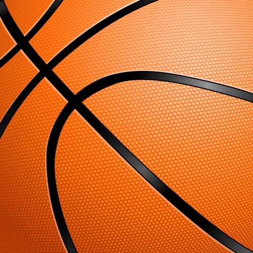 Closeup of a basketball vector image