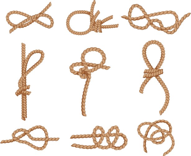 rope knot set cartoon vector image