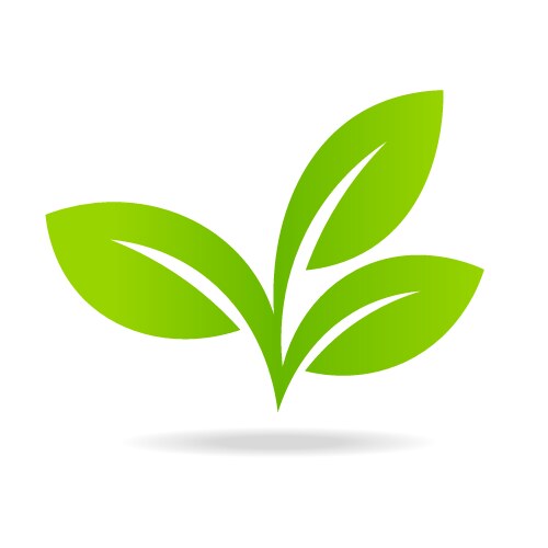 Eco icon with green leaf vector image