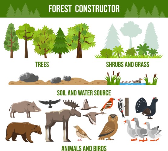 forest constructor poster vector image