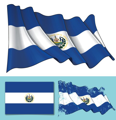 Waving flag of el salvador vector image