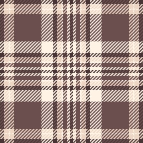 Independence day background plaid graceful vector image