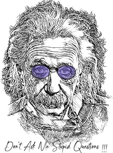 Albert einstein with sunglasses vector image