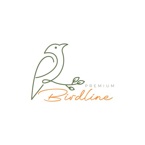 Exotic little bird perched twig line art feminine vector image