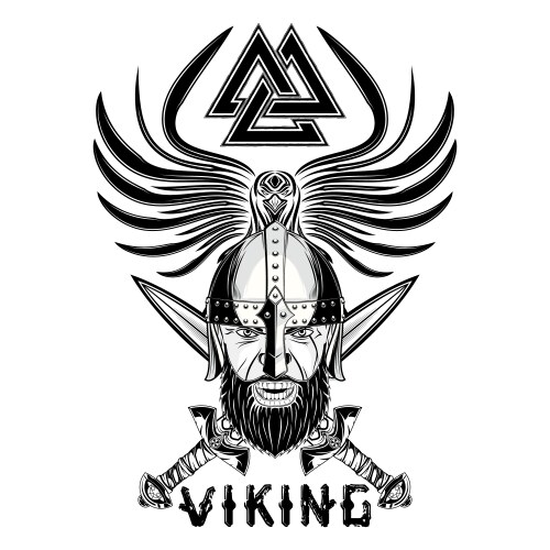 Rawen viking sword triskelion vector image