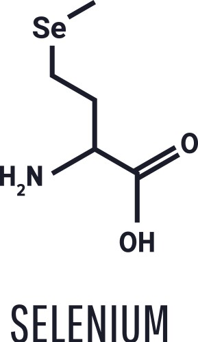 Selenomethionine is a naturally occurring vector image