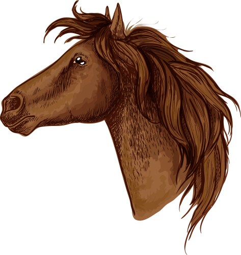 Brown graceful royal horse portrait vector image