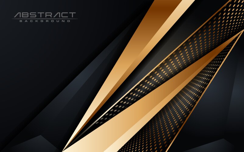 Abstract luxury dark background with golden lines vector image