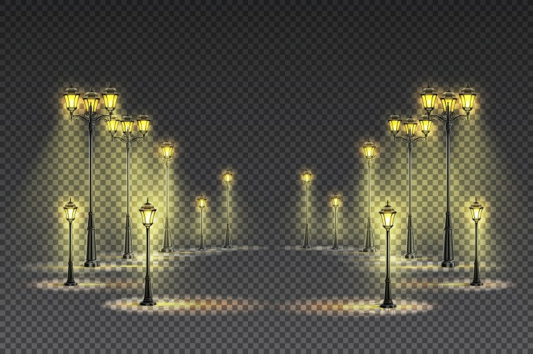 garden lights transparent background vector image