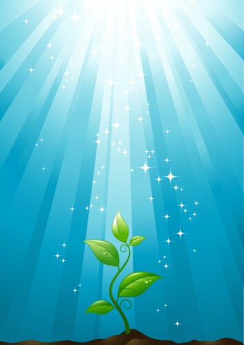 Growth vector image