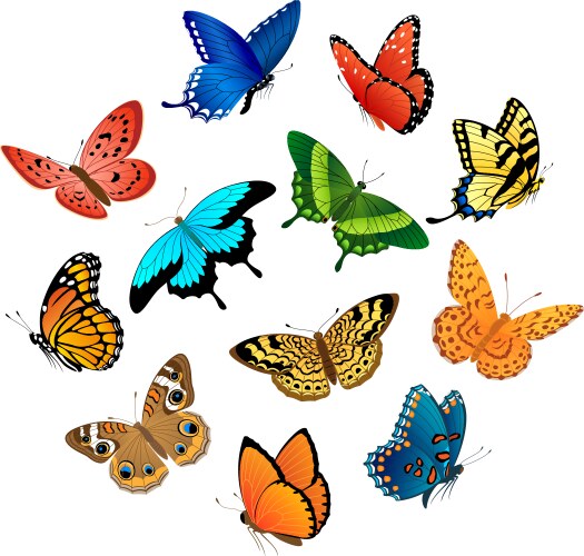 Flying butterflies vector image