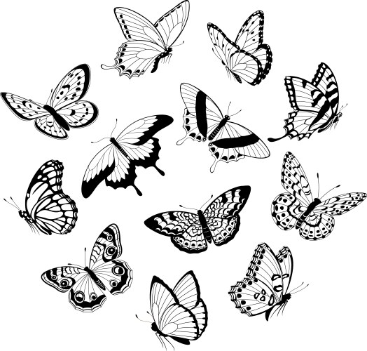 Flying black white butterflies vector image