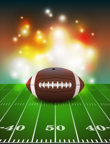 american football and field vector image