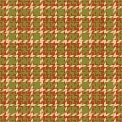 Teen texture plaid background nyc seamless vector image