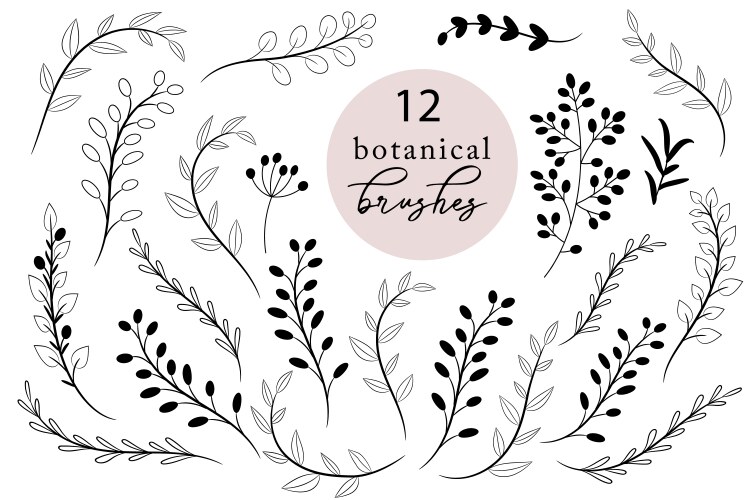 Set botanical brushes rustic hand drawn vector image