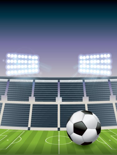 soccer football stadium vector image