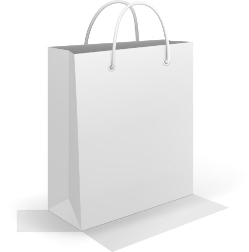 shopping bag vector image