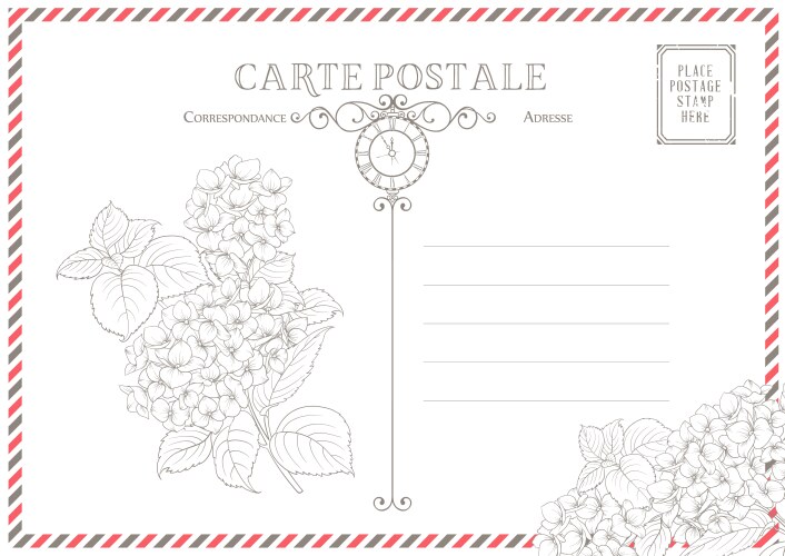 vintage postcard background template vector image