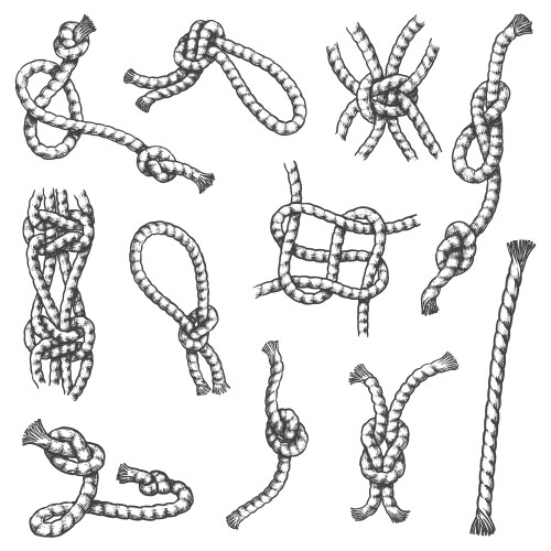 Sketch marine rope knots with hitches and bends vector image