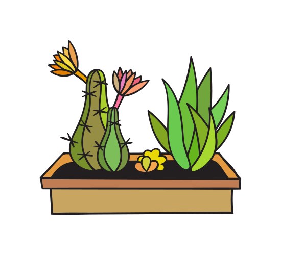 Cactus with black contour vector image