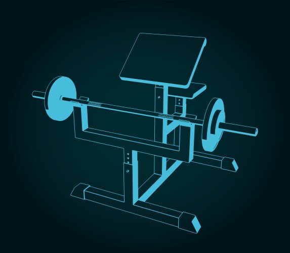 Preacher curl machine vector image