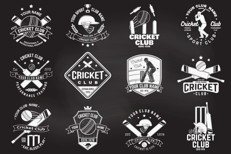 Set cricket club badges on chalkboard vector image