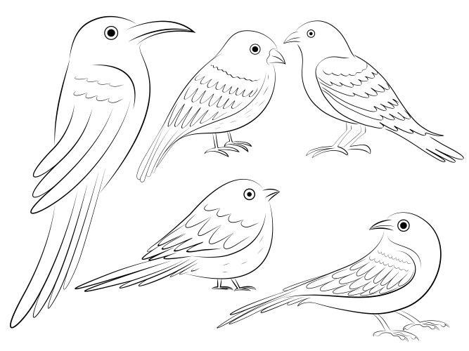 outline bird drawing vector image