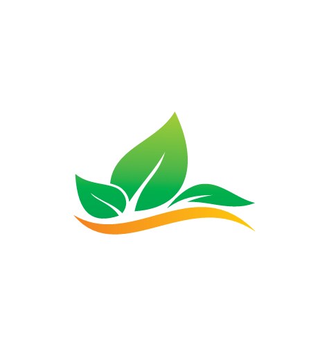 Green leaf eco environment logo vector image