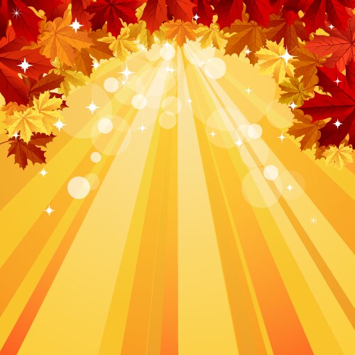 Autumn background with space for text vector image