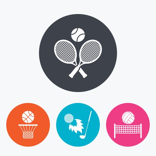 Tennis rackets with ball basketball basket vector image