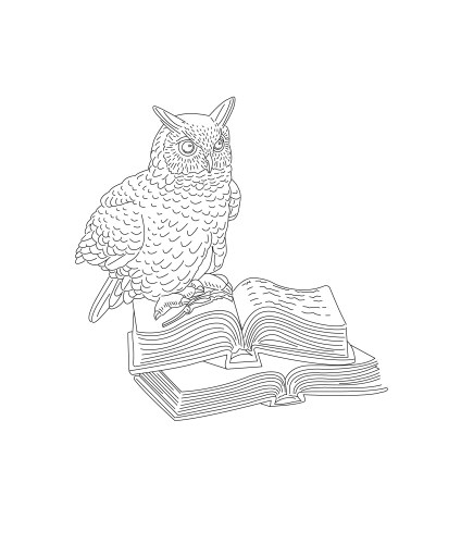 Educational an owl sitting on open vector image