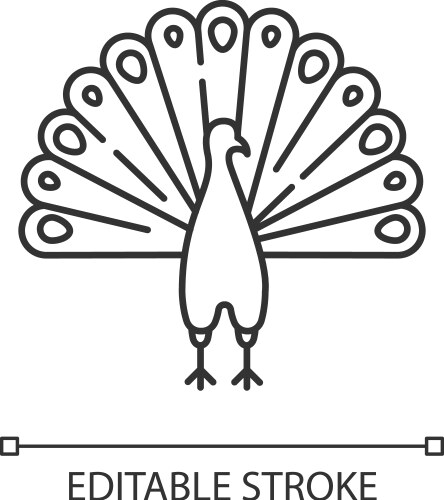 Peacock pixel perfect linear icon vector image