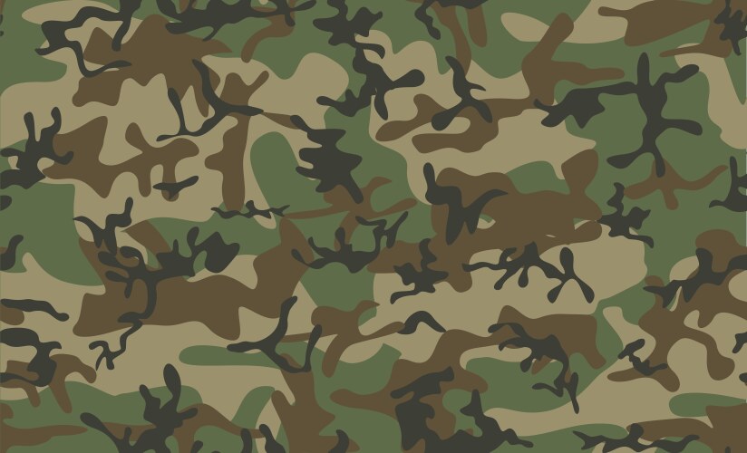 Classic camouflage seamless pattern vector image