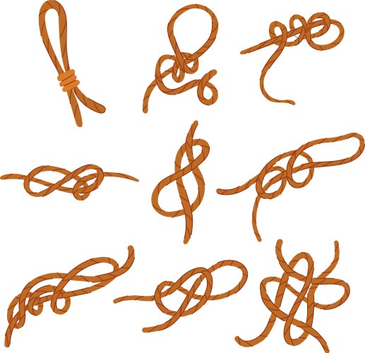 rope knot set cartoon vector image