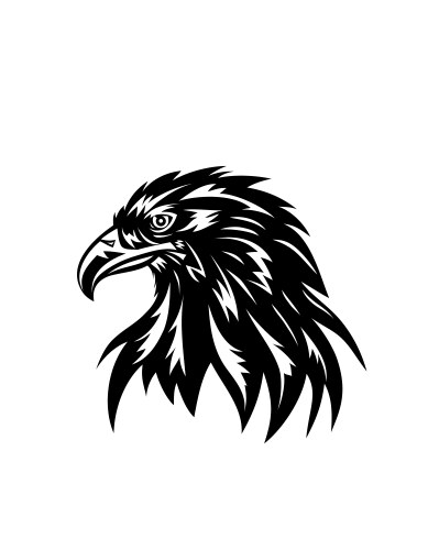 Eagle face silhouette vector image