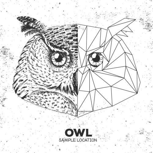 hipster animal realistic and polygonal owl face vector image