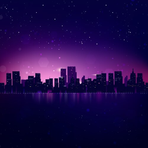 Night city skyline vector image