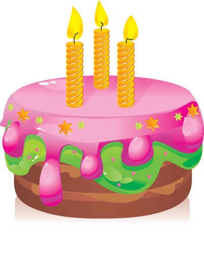 Birthday cake with candles vector image