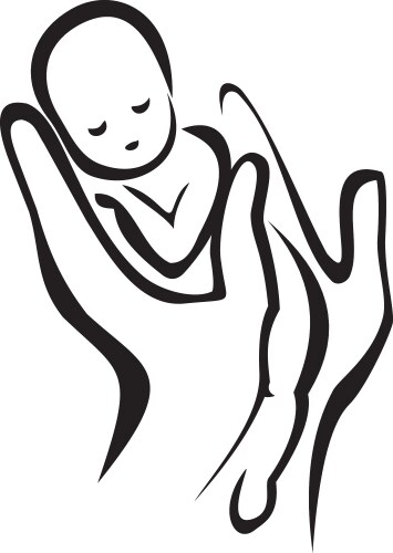 Hands holding a newborn baby vector image