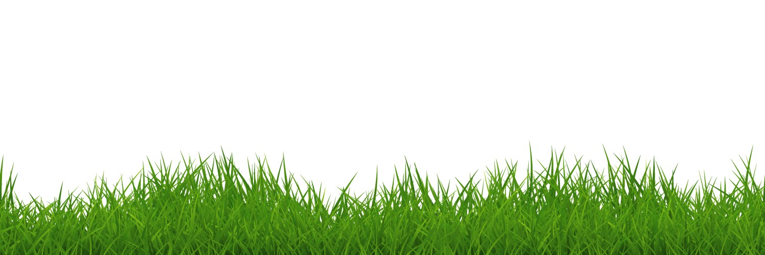 Green uneven grass wide seamless border isolated vector image