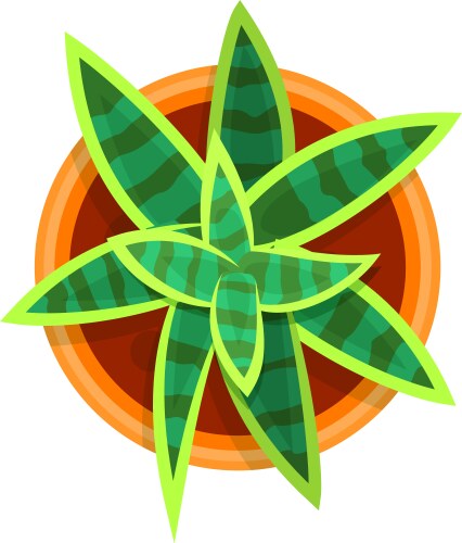 Top view of a vibrant green plant in terracotta vector image