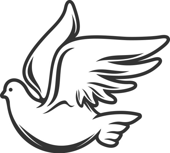 dove holy bird isolated religious pigeon vector image