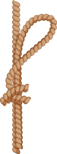 loop rope knot cartoon vector image