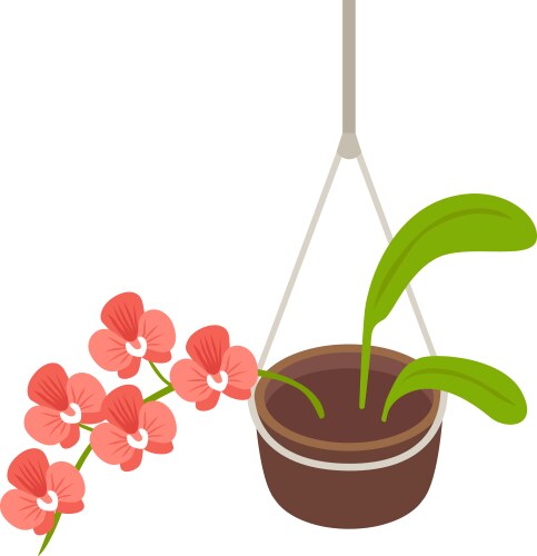 Hanging pot plant composition vector image